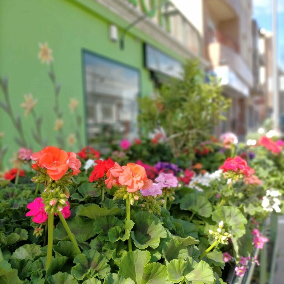 Ramos de flores frescas disponibles para compra online.