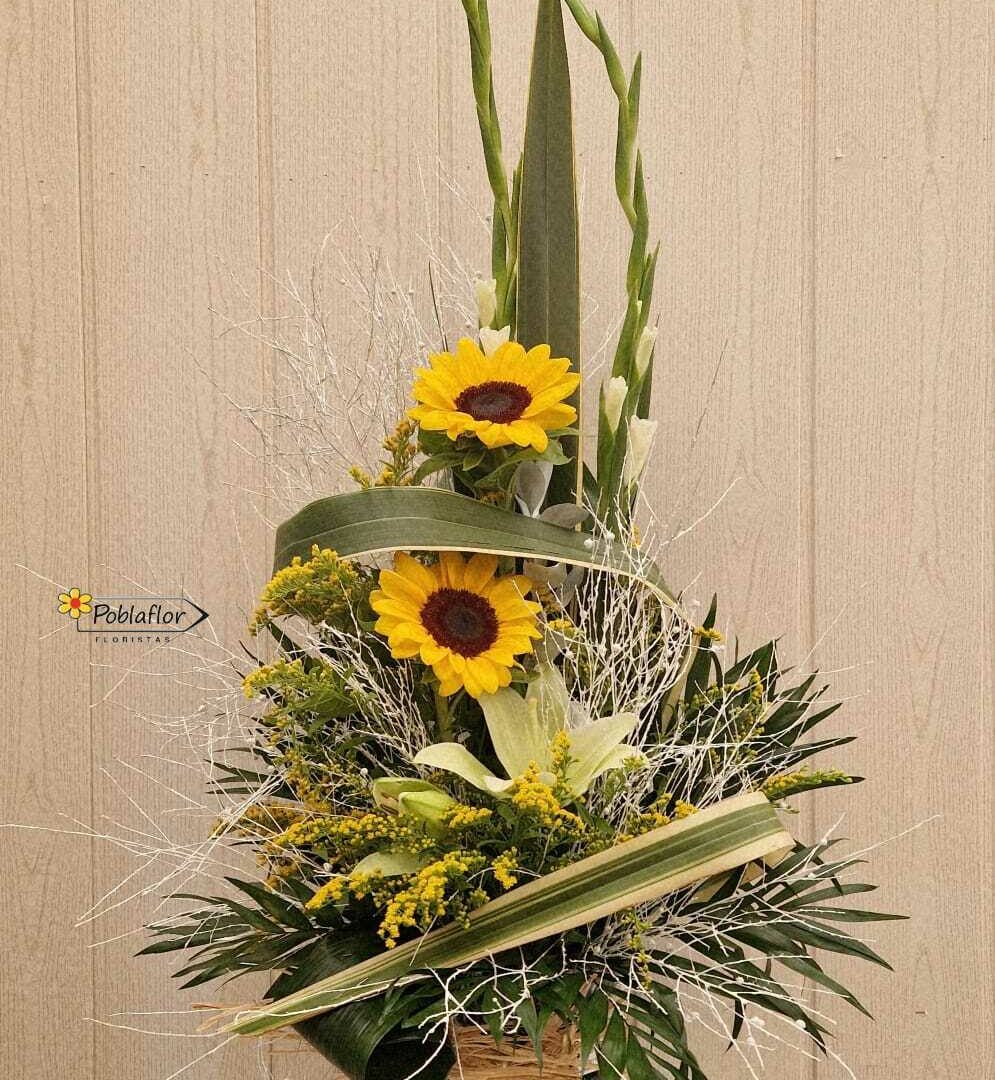 girasoles